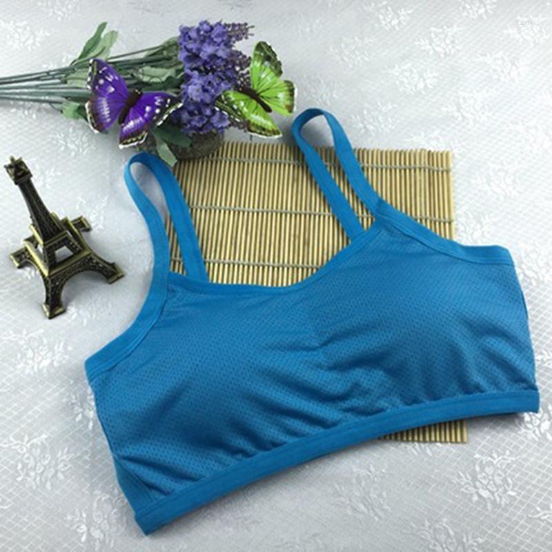

Yoga Outfit Women's Sexy Fitness Underwear Thin Section Solid Color Frameless Elastic Wireless Filled Bra Shockproof Push Up Sports Top, Blue
