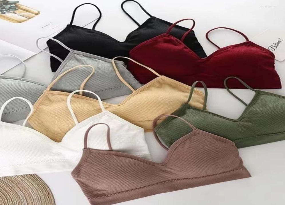 

Yoga Outfit Top Women39s Tube Sports Bras For Women Gym Fast Dry Elastic Padded Running Bra Fitness Sport Breathable Tops8858523, Burgundy