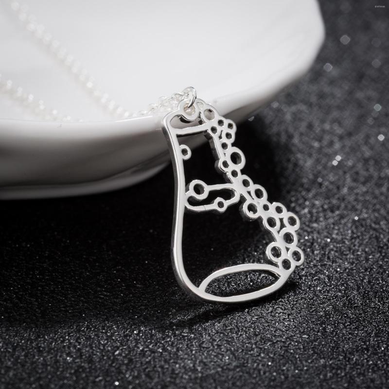

Pendant Necklaces Chemistry Experimental Apparatus Charm Necklace Jewelry Lab Bottle Container Satinless Chain Choker Gift