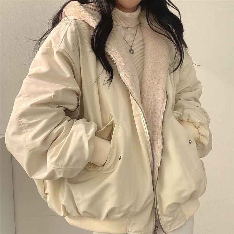 

Women's Hoodies Korean Plush Thickened Lamb Wool Two-sided Wear Women's Hoodie Coat Winter Zipper Solid Color Top Sweatshirt, Pd01