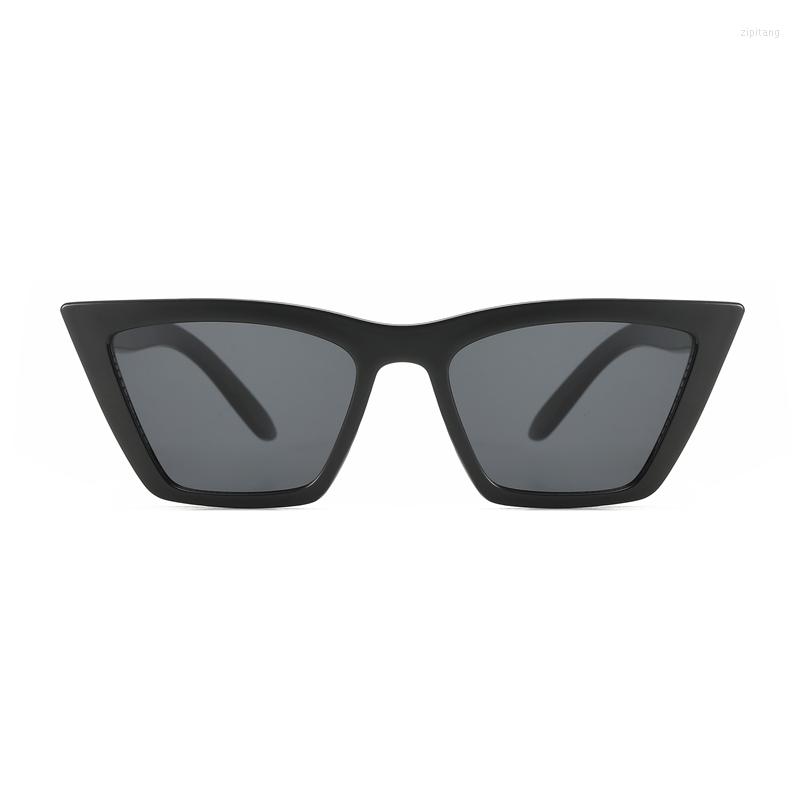 

Sunglasses 2023 Ins Fashion Style Cat Eye Black