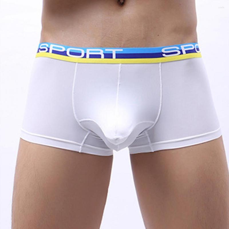 

Underpants Shorts Panties Stylish Men Soft Underwear 3D Cutting Thin Ice Silk Daily Wear, Black