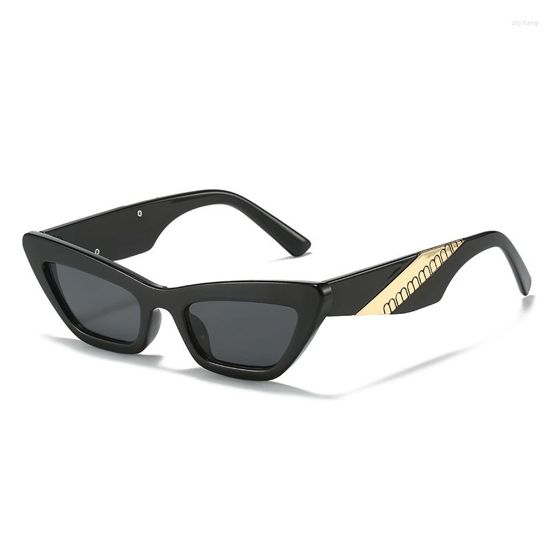

Sunglasses Fashion Vintage Cat Eye Small Frame Women Men Designer Travel Punk Sun Glasses For Female Eyewear UV400