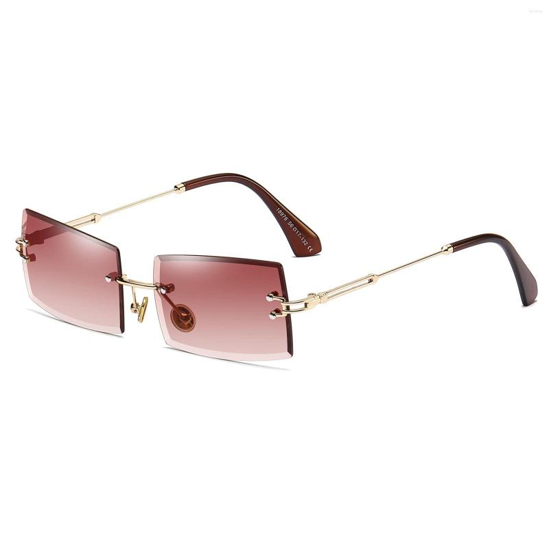 

Sunglasses Square Ultra-Small Frame For Women Men Rectangle Retro See Through Lens Rimless Glasses