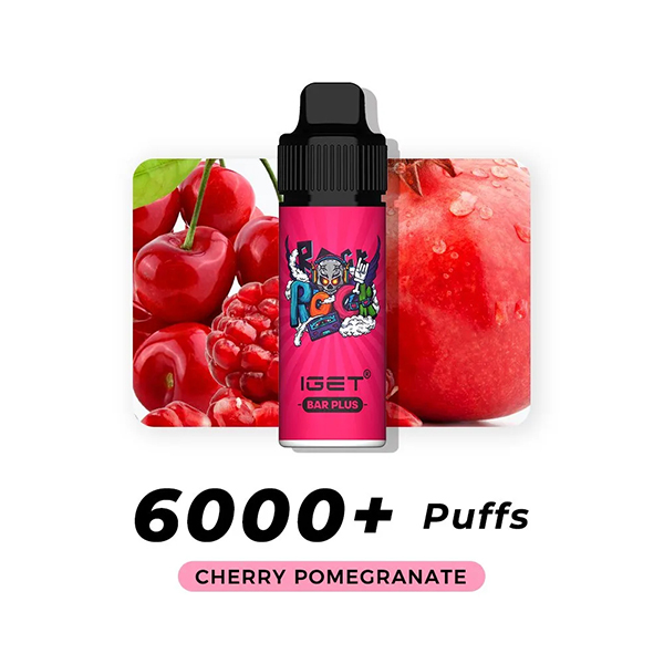 

Iget Bar Plus Vapers Kit Puff Disposable Vape Pen Electronic Cigarettes 15ml Pod