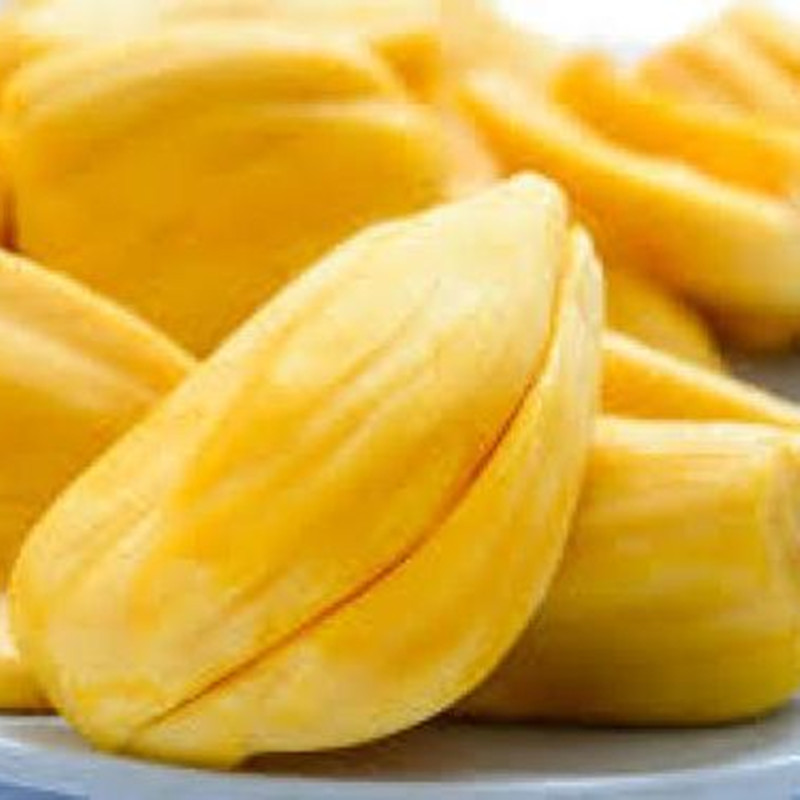 

New Sale! 100pcs jackfruit Decorative Landscaping Imported Chile Rosea Plant Outdoor & Indoor Chilean Bellflower Garden For Flower Pot Planter