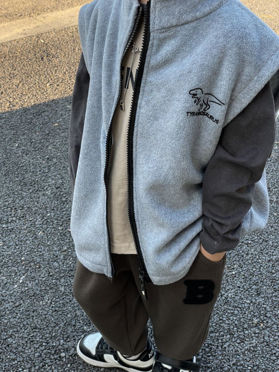 

Children's vest jacket, spring and autumn style, fashionable and casual dinosaur print design, gray and black, high-quality male baby clothing for teenagers aged 2 to 14