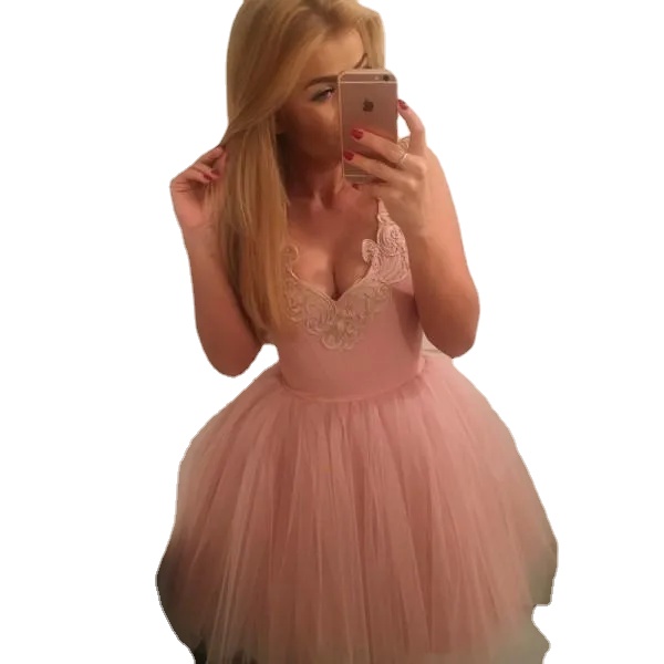 

Blush Pink Spaghetti Lace Appliqued A-line Homecoming Dress Cheap Backless Lace Tulle Short Cocktail Dresses Sexy Prom Evening Party Gown, Ivory