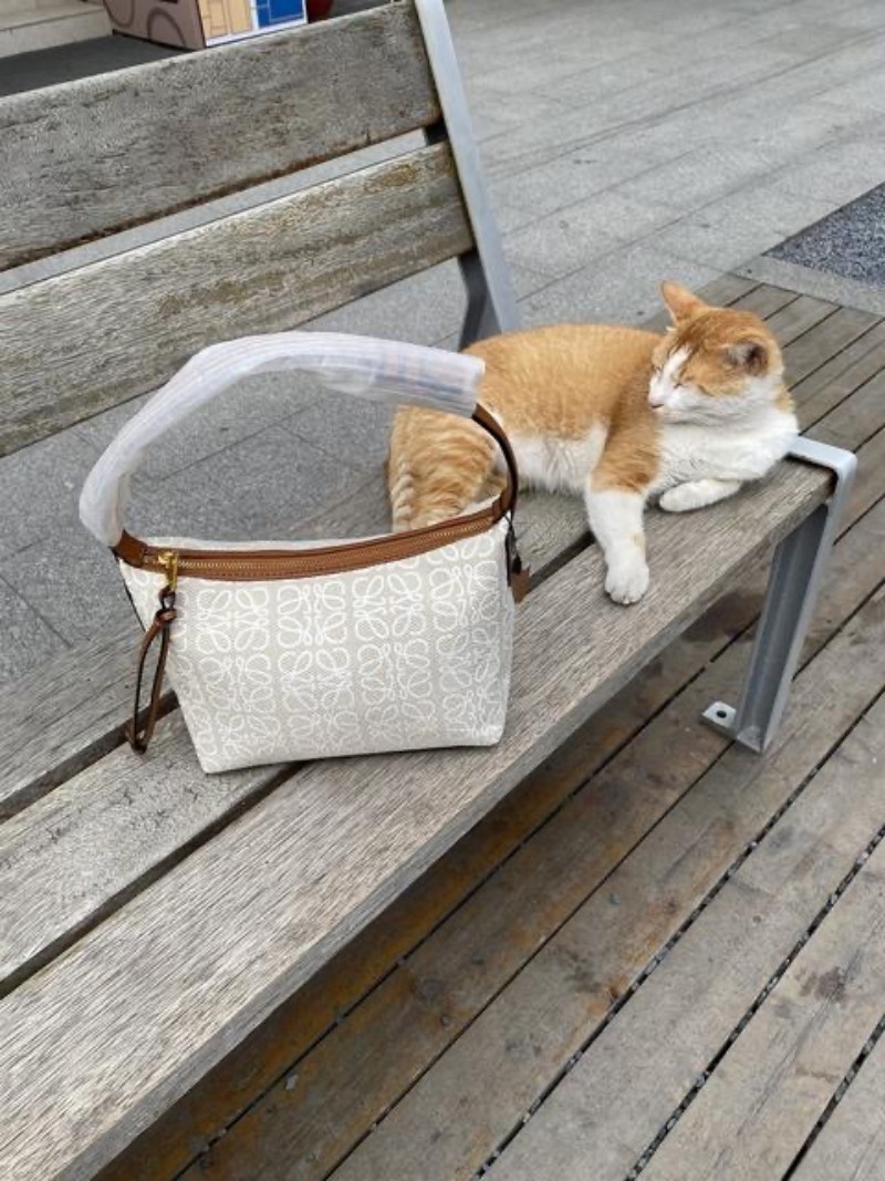 

Womens Handbags Purses Fashion Flower Ladies Composite Cubi Bag Leather ShoulderBags Female Clutch Purse with Dust Bags Three Colors, Black