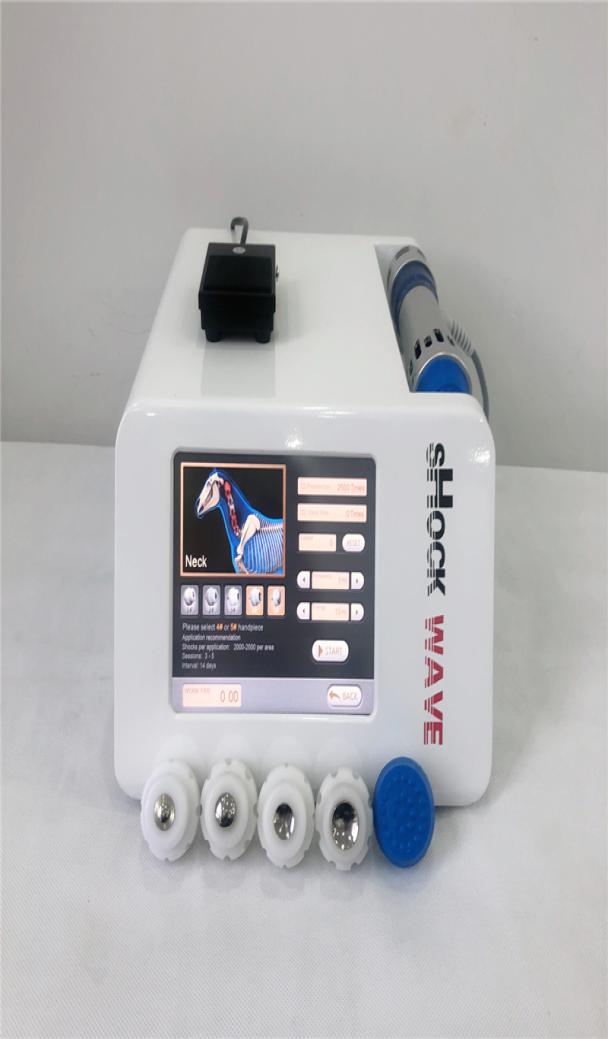 

horse and animals Shock wave veterinary treat equine shockwave therapy device Veterinary use shockwave for horse and animals2143450