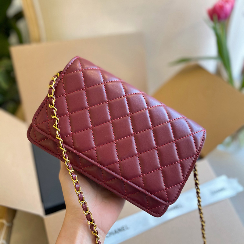 

High Level Designer Crossbody Purse Hobos Luxury Diamond Lattice Soft Shoulder Bag Woc ss21 Flap Leather Adjustable Chain Wallet Cowhide Bags Channel Size 20cm, White 20cm