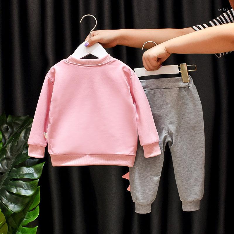 

Clothing Sets Sweatshirt Baby Girls Cartoon Shower Sweatpant Child Tracksuit Kids 2 Pieces Outfits Spring Autumn 1-5 Years, Pink