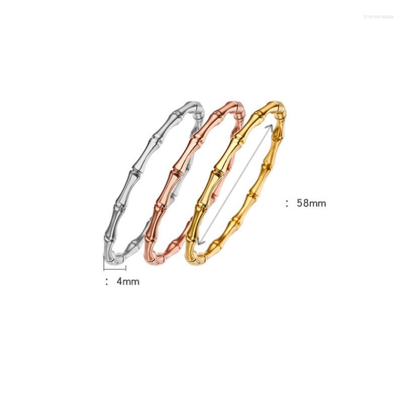 

Bangle European Geometric Joint Gold Color Personality Titanium Steel 4mm Bamboo Shape Women Raym22
