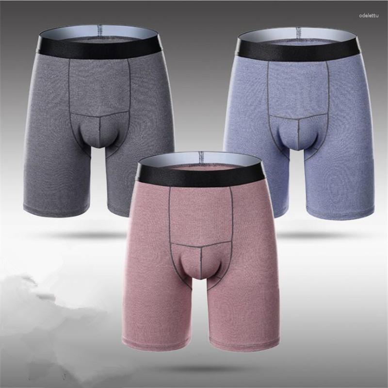

Underpants Men Soft Boxers Cotton Comfortable Male Boy Lengthen Underwears Long Cindy Color Man Breathable
