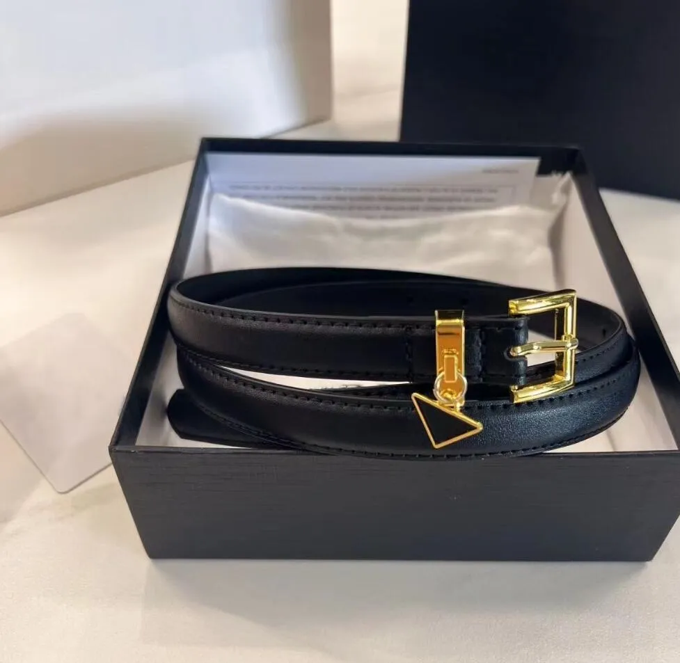 

New Style Designers Women Belts Inverted Triangle Pendant Needle Buckle Belt Luxury Genuine Leather Women Popular Jeans Girdle Coat Waist Belt Accessories, Black no box