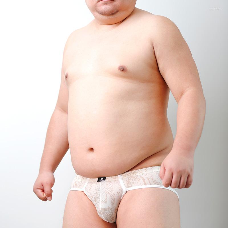 

Underpants Arrival Bear Claw Python Pattern Underwear Plus Size Men's Sexy Briefs Gay Proud Shorts Designed For  L XL XXL, Black