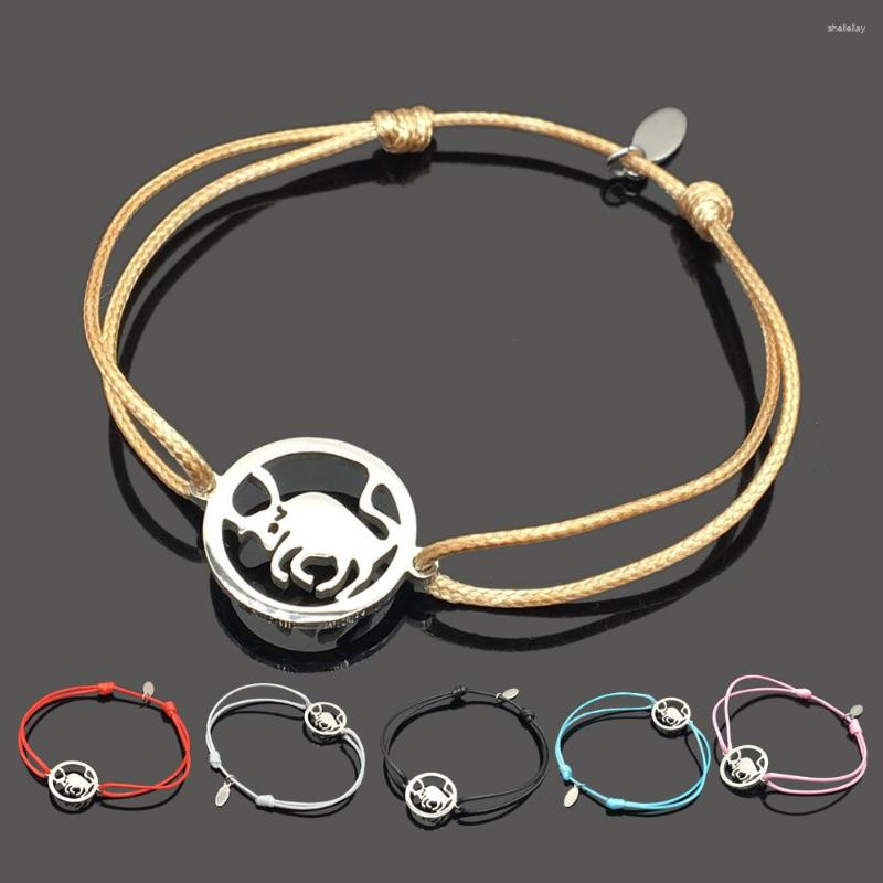 

Charm Bracelets Bull Stainless Steel Wish Bracelet High Quality Pendant Adjustable String Gift