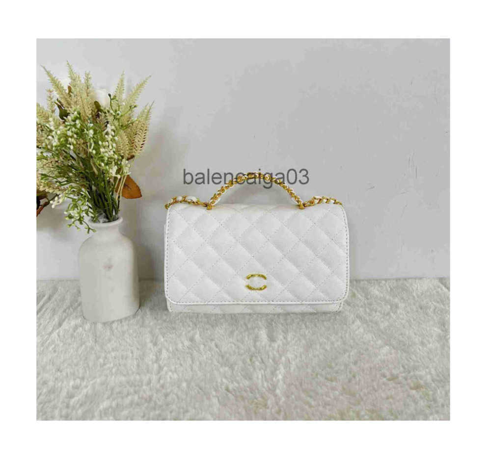 

Designer Channel Bag Handbag Beach Crossbody Shoulder The Tote Bag Luxurys Fashion Brands Purse Man Woman White Pink Green Leather Square Messenger Makeup Bag, Black