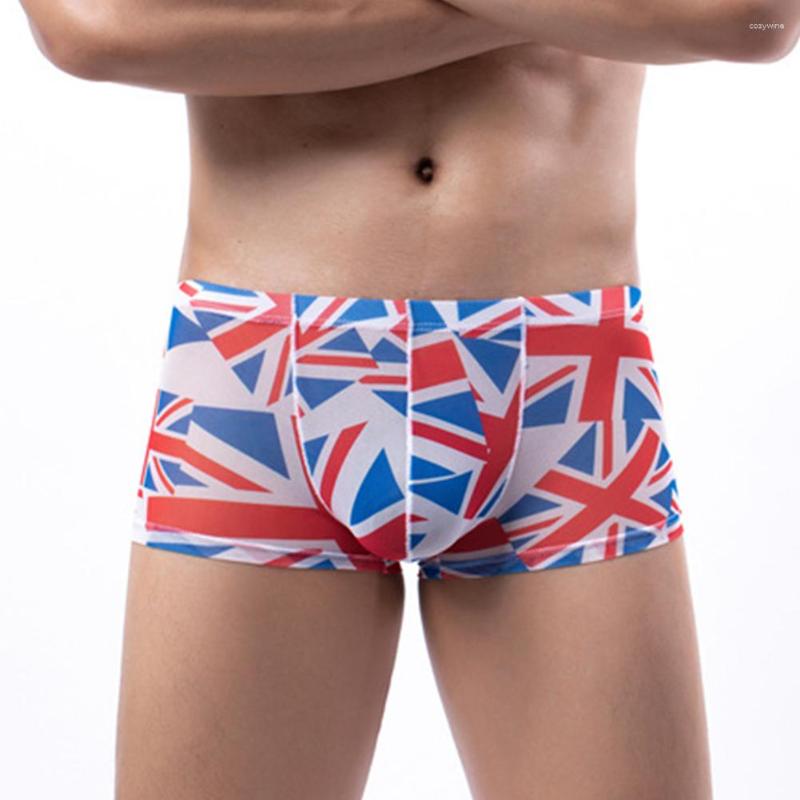 

Underpants Men Printing Boxer Trunks Breathable Ultra Thin Mesh Panties See Through Underwear Bulge Pouch Briefs Knickers, Blue