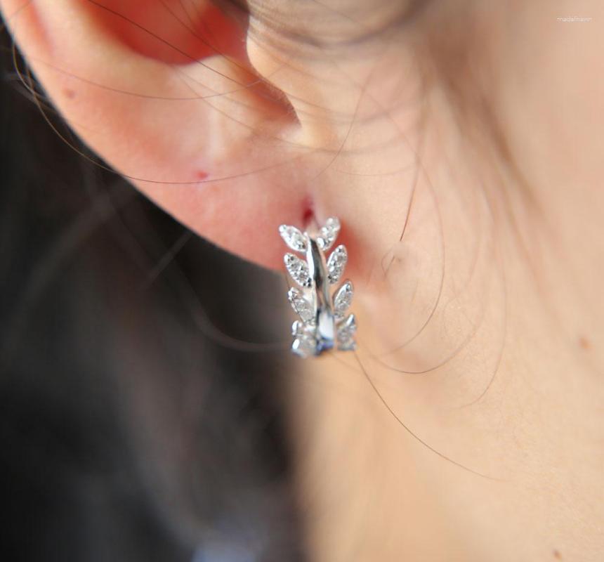 

Stud Earrings 925 Sterling Silver Bling 2023 Luxury Pave Clear Zirconia Cz Leaf Design Circle Clip Ladies Jewelry Earring