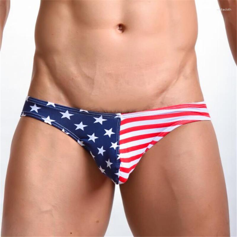 

Underpants Sexy Men' Briefs Underwear Cotton Low Waist Designed Mens, Multi
