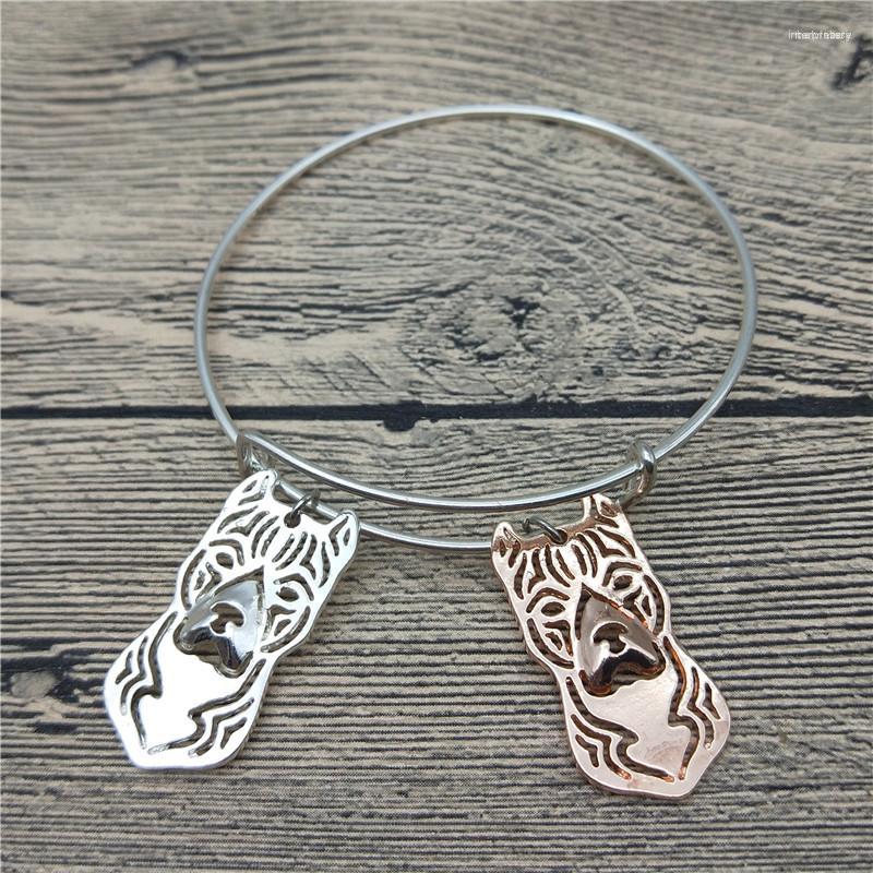 

Bangle Trendy American Staffordshire Terrier Bangles Cute Dog Bracelets Fashion Animal Pet Jewellery