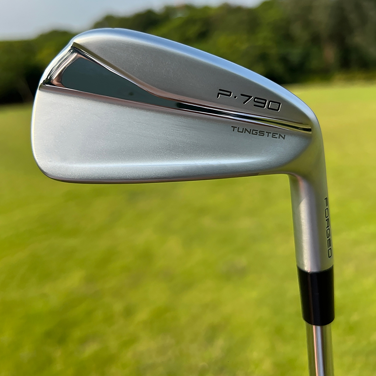 

Club Heads P790 Irons 4-PHardcore groupGolf clubs 230626