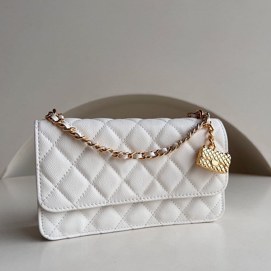 

10A TOP quality designer bag chain bag 18cm WOC lady purse crossbody bag genuine leather shoulder bag With box C102
