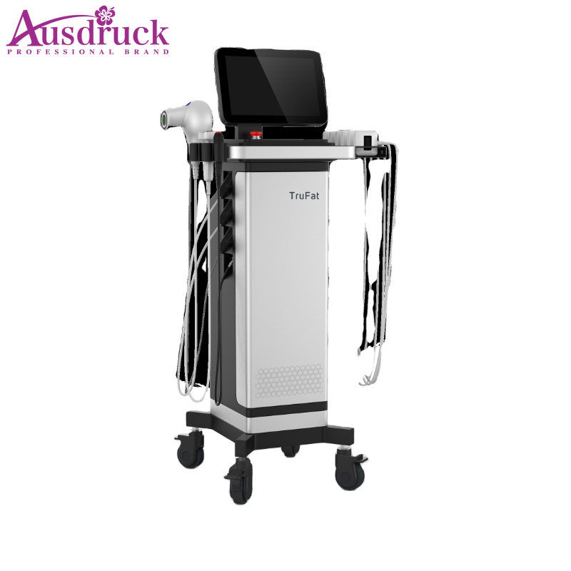 

Trufat Sculpt Reduce fat Hi-45V Trubody Fat Reduction Trushape EMS RF Beauty Machine for body slimming