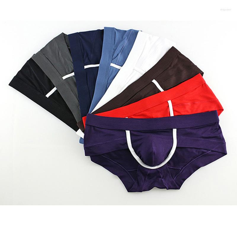 

Underpants 5PCS/Lot Men Seamless Underwear 2023 Briefs Man Modal Masculina U Pouch Male Panties Gay Ropa Pants, Purple