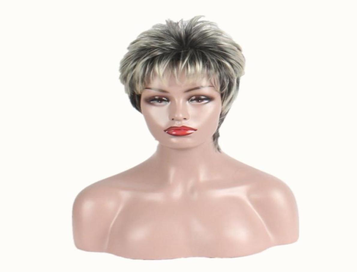 

Short Hair Wigs for Women Silver Gray Synthetic Wig Heat Resistant Natural Straight Hair Party Cosplay12862879284062, Ombre color