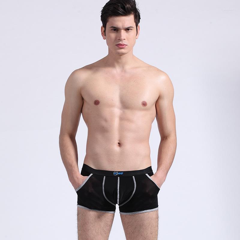 

Underpants Summer Ice Silk Mens Underwear Breathable Fashion Pocket Design Man Sexy Transparent Boxers Gay Male Shorts Panties, Black