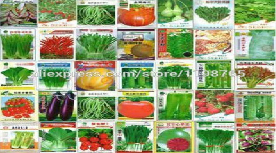 

100 pcs Vegetable Bonsai Plant cucumber eggplant pepper pumpkin cabbage shallot carrot tomato potted balcony garden four seasons5283168
