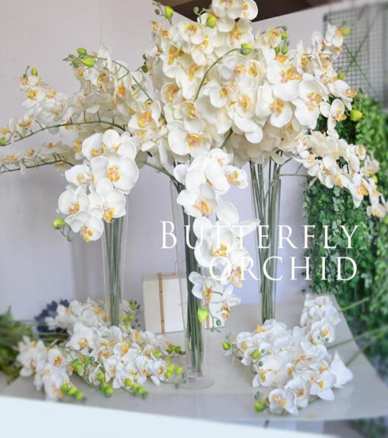 

9 White Artificial Phalaenopsis Flower Decorative Real Touch Butterfly Orchid Flower Latex Orchids for Home Decoration Wedding5065930, Beige