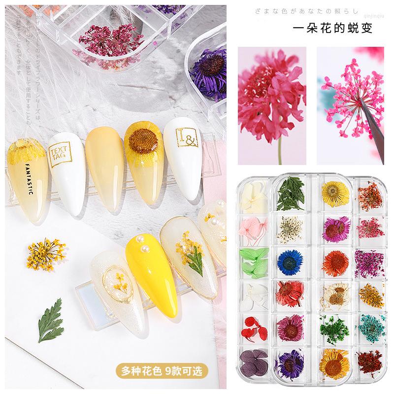 

Nail Art Decorations 1 Box 3D Dried Flower Decoration Natural Floral Sticker Mixed Dry DIY Decals Jewelry UV Gel Polish Manicure