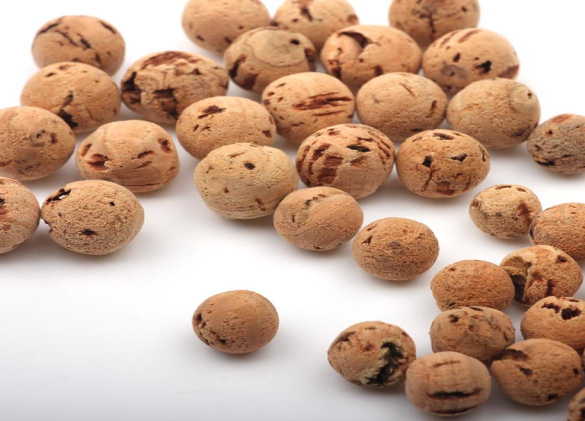 

20PCS Carp Bait Fishing Accessories Cork Stick Balls For Pop Ups Boilies Live System8719877
