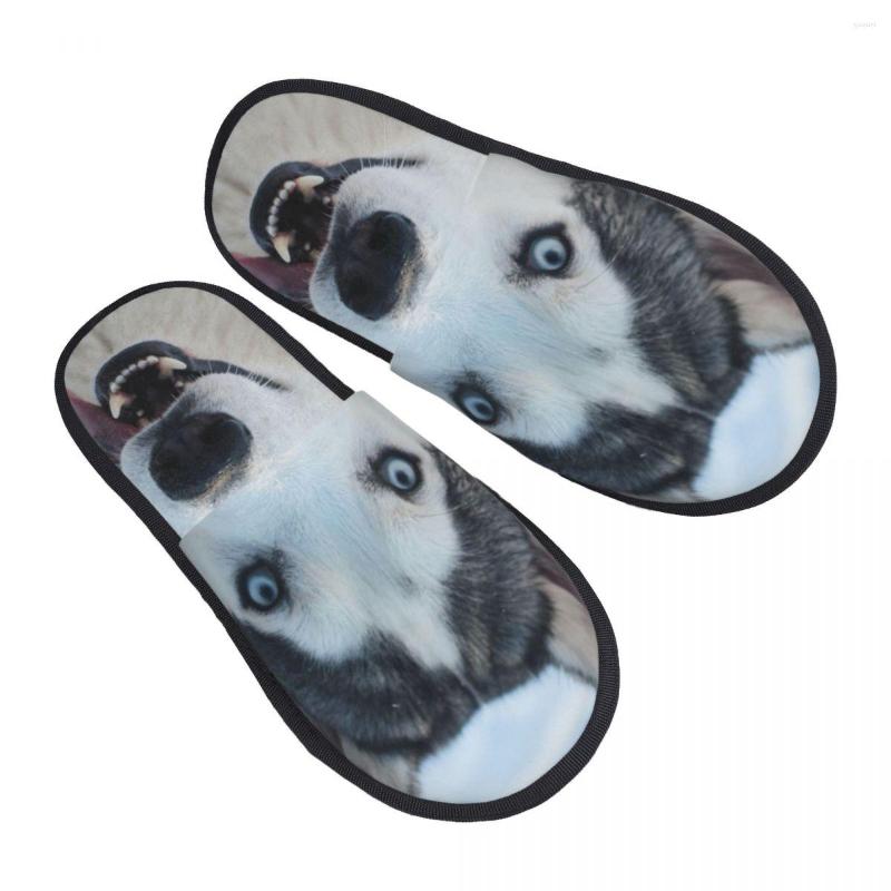 

Slippers Indoor Husky Dog Warm Winter Home Plush Fashion Soft Fluffy, Black