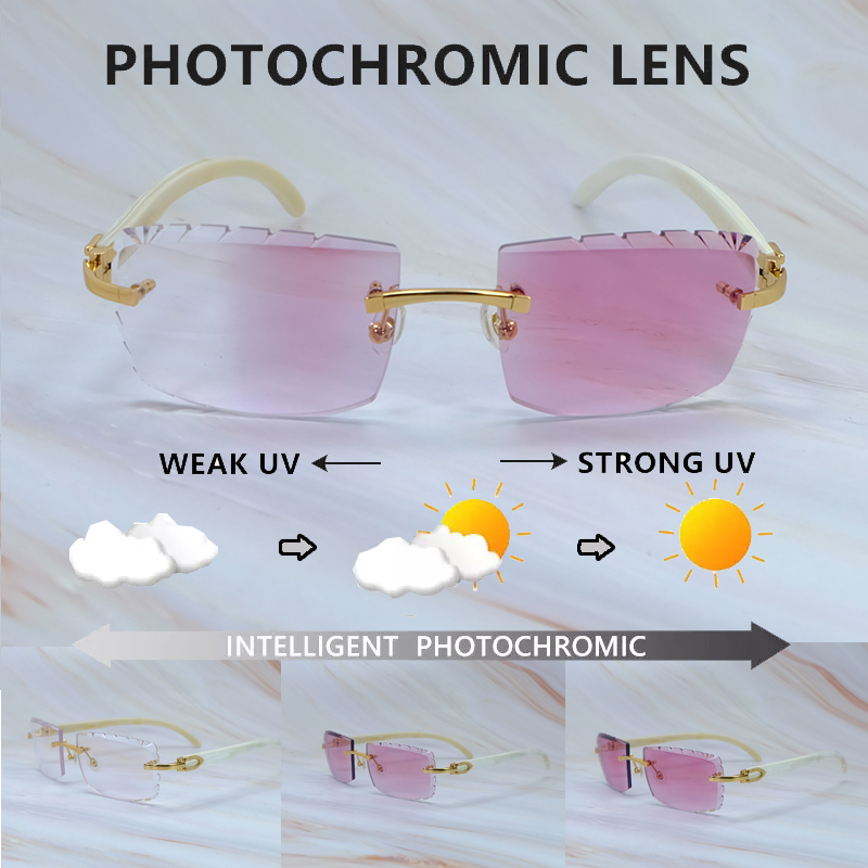 New In Sunglasses Mens Photochromic Lenses Two Colors Lenses 4 Season Glasses Interchangble Diamond Cut White Buffalo Horn Lentes De Sol Hombre-image-910880872