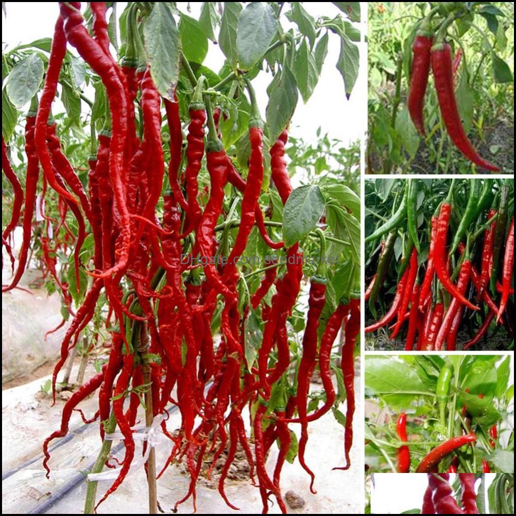 

Other Garden Supplies 200Pcs/Set Nt Spices Spicy Red Chili Pepper Seeds Plants Potted Bonsai Garden Courtyard Balcony Plant Drop Soif Otlxc