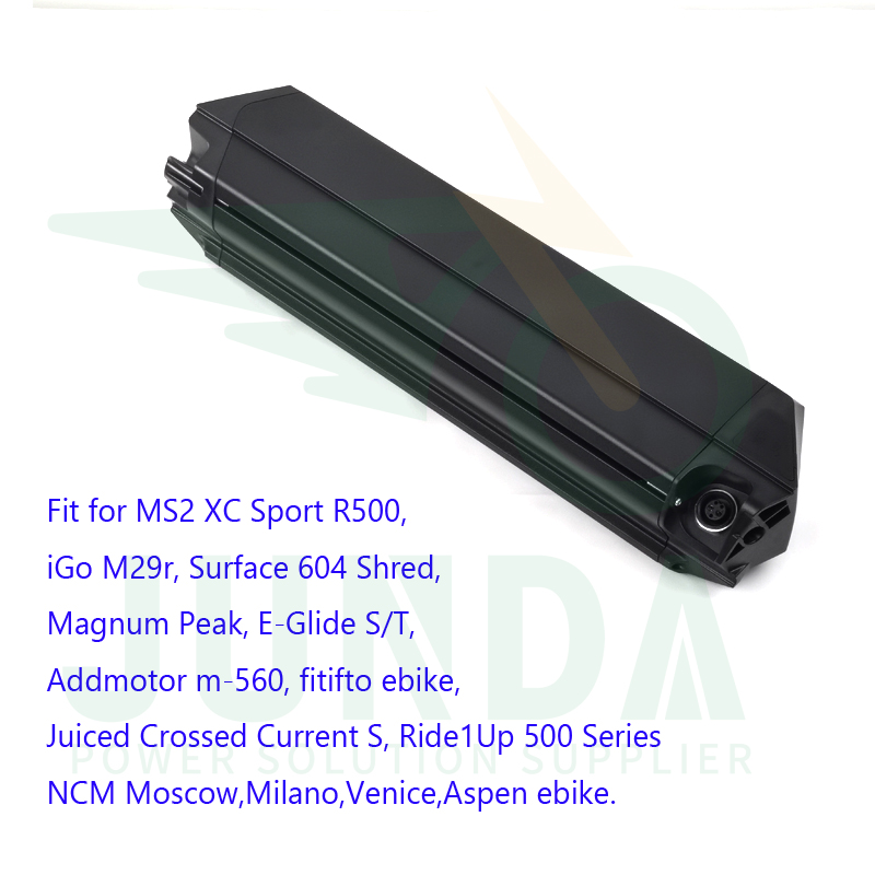 

Reention Dorado Samsung 21700 cells battery pack 48V 52V 20Ah 25Ah 500W 750W 1000W electric bike hidden batteries