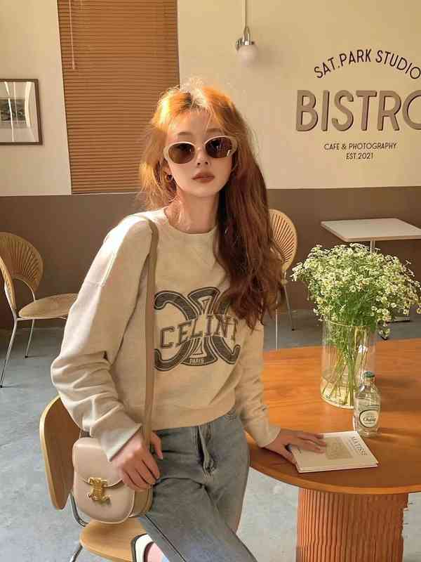 

Designer Hoodies Woman Man Celinn Sweatershirts Early Autumn New Triumphal Arch Letter Printing Round Neck Women Celinn Loose Versatile Top, Oatmeal ash