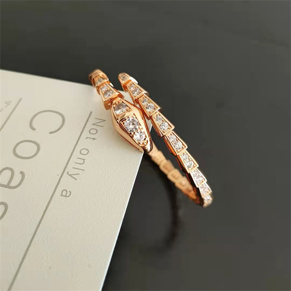 

New Designer Bracelet Gold Silver rose 3Color spring snake shaped Charm Stainless Steel Bracelet Bangle For Men Women wedding engagement gift Luxury Jewelry