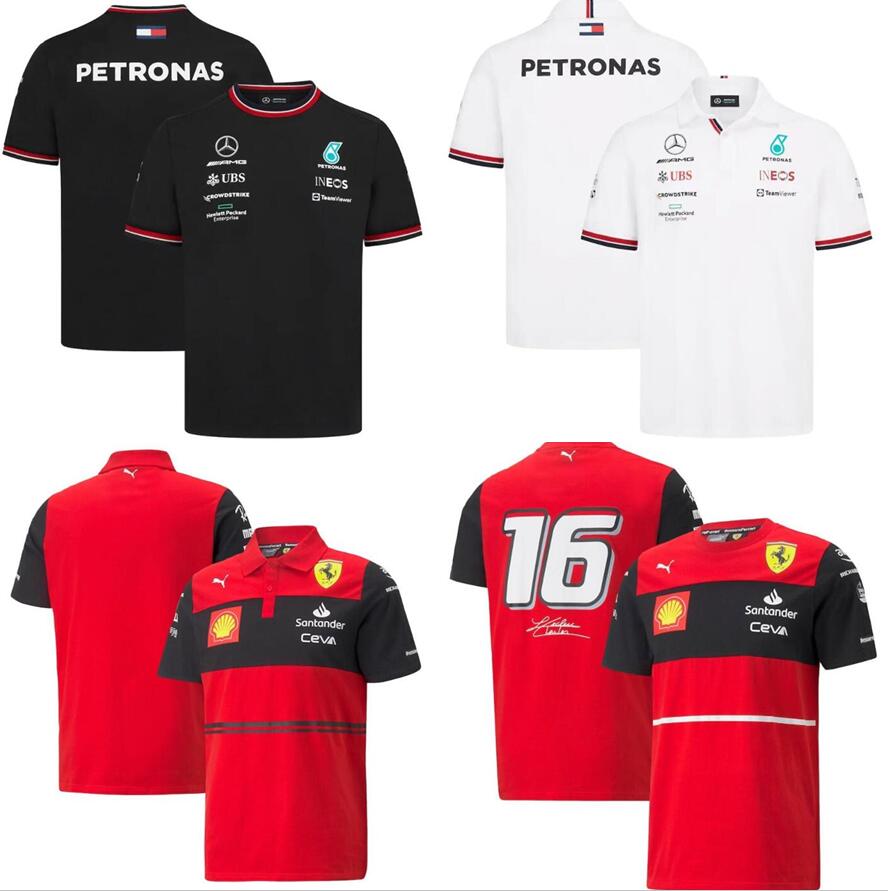 

5XL 2022 Formula 1 Motorsport Jerseys f1 t-shirt Racing Team T-shirts Car Fans Casual Breathable POLO Summer Car Logo model clothing tide bran motorcycle Shirt, F1 2022 jersey