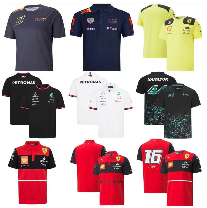 

5XL 2022 2023 Formula 1 Motorsport Jerseys f1 t-shirt Racing Team T-shirts Car Fans Casual Breathable POLO Summer Car Logo model clothing tide bran motorcycle Shirt, F1 2022 jersey