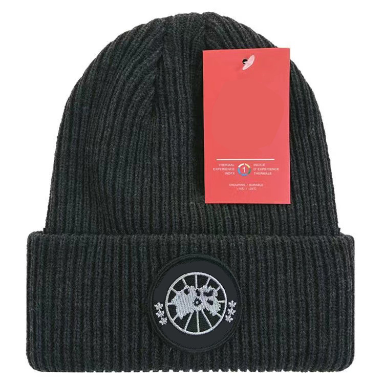 

Designers knitted hat ins popular canada winter hats Classic Letter goose Print Knitted Caps multicolor