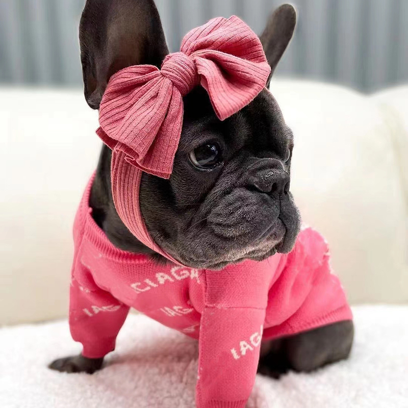 

Designer Dog Clothes Winter Warm Pet Sweater Brands Dog Apparel Knitted Pets Coats Puppy Cat Sweatshirt Clothing For  Dogs, Green