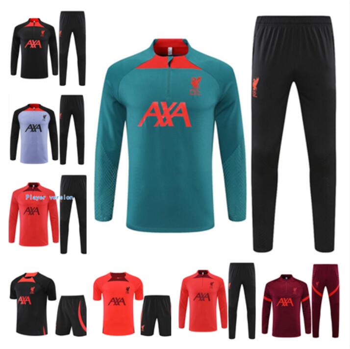 

high qaulity 22/23 Darwin football tracksuit soccer 2022 2023 training short sleeve shorts-sleevedt men pre-match sportswear Polo shirts Top training sui uniform, 10