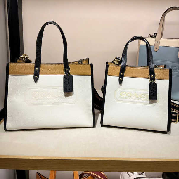 

Coch Womens Handbags Bag Tote Dempsey 22 Large Small Square One Shoulder Crossbody Handbag, Purple small 22 * 20 * 10