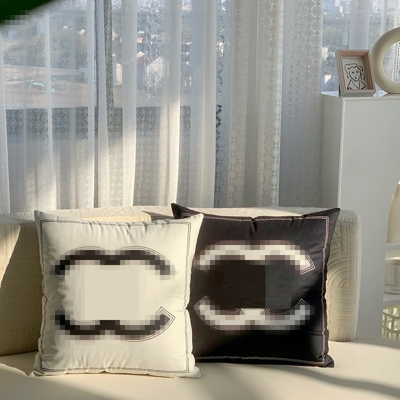 

50x50cm Brand Designer Cushion Home Sofa Decorative Pillow With Core Luxury Throw Pillows 30x50cm Soft Car Chair Cushions, White