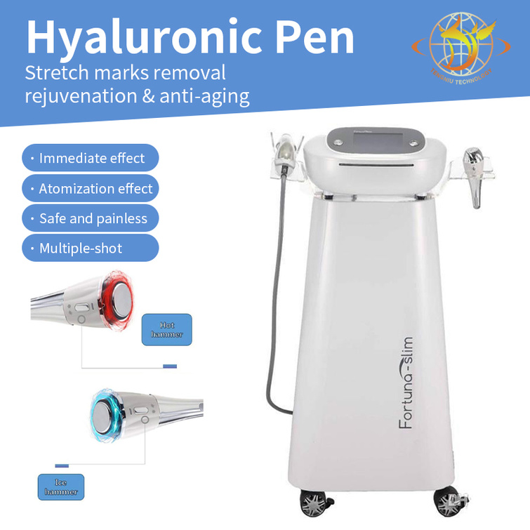 

High Pressure Acid Injection Needless Lip Lifting Pen With Screen Noninvasive Nebulizer Beauty Machine